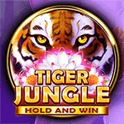 Biểu tượng trò chơi công bằng RNG