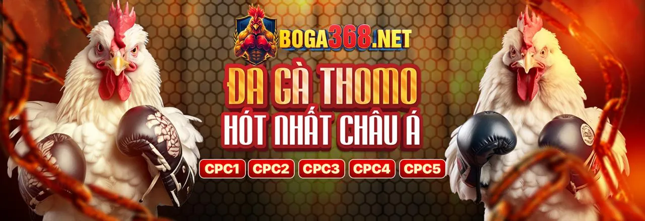 Hình ảnh minh họa an toàn cá cược trực tuyến tại 777vin777 chính thức